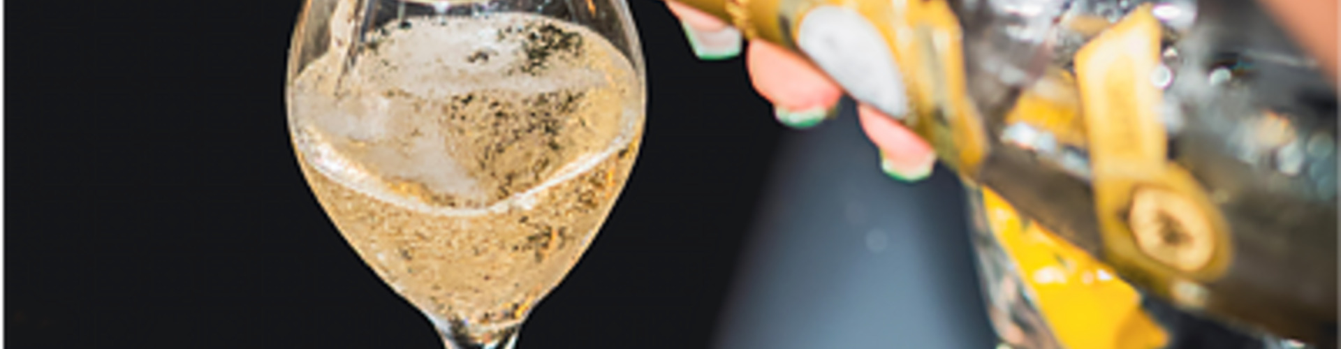 De zomer line-up is klaar om te gaan!